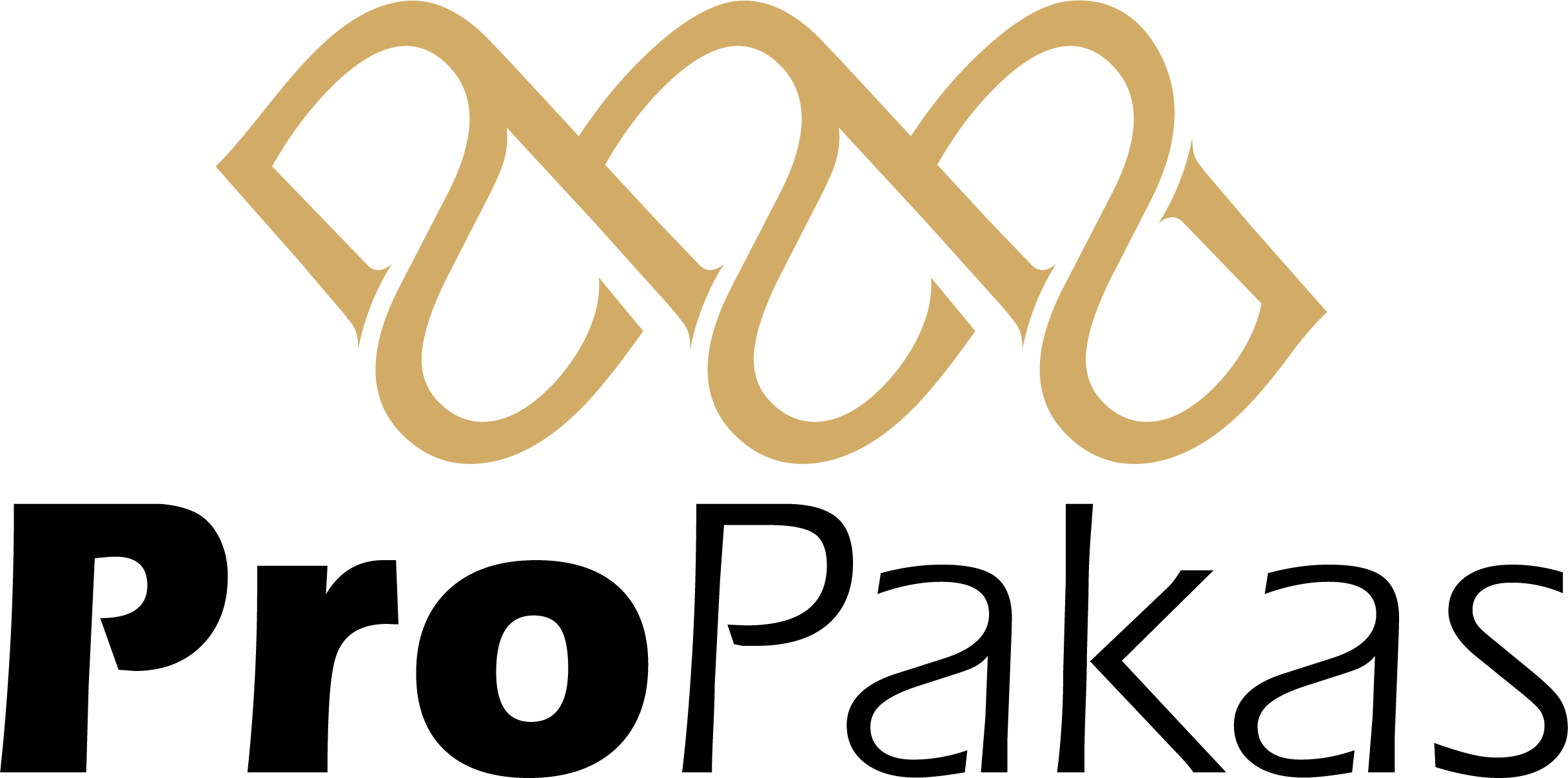 propakas_logo